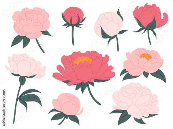 Fototapeta Blossomed peony flowers set. Floral buds, plants, bouquet. Beautiful blooms in flat style. Realistic botanical vector illustrations set isolated on white background.