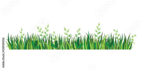 Obraz Summer grass border. Nature landscape element isolated on white background. Fragment of green grass. Spring meadow or summer lawn symbol