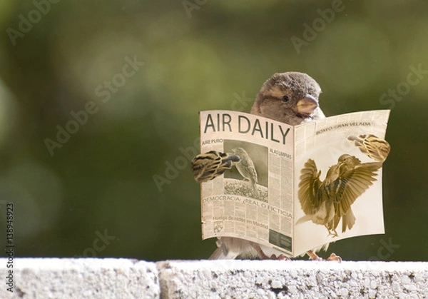 Obraz Dziennik 0035b