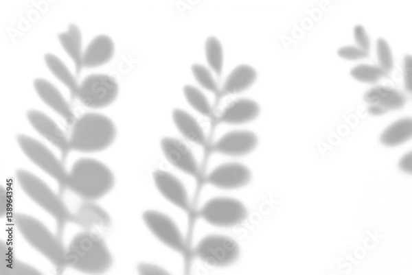 Fototapeta shadow overlay effects of realistic leaves and tree branch shadow on transparent png background,Summer sunlight and shadow overlay effect
