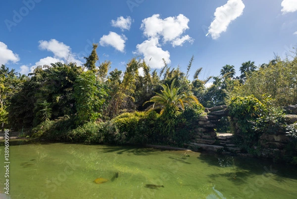 Obraz The Yarkon Park in Tel Aviv in summer