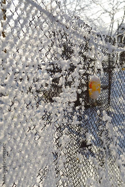 Obraz Snow covered the metal mesh