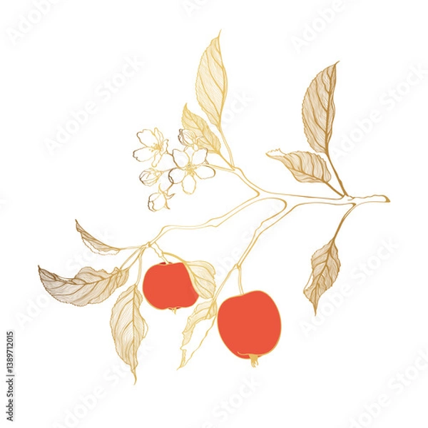Obraz Golden line apple branch. Blooming branch of sakura apple tree.