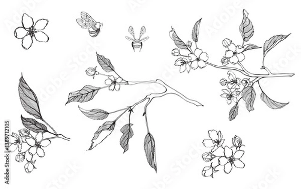 Fototapeta Line apple branch. Blooming branch of sakura apple tree with bee.