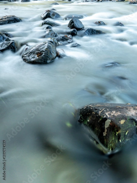 Fototapeta Serene Stream: Stones in Motion