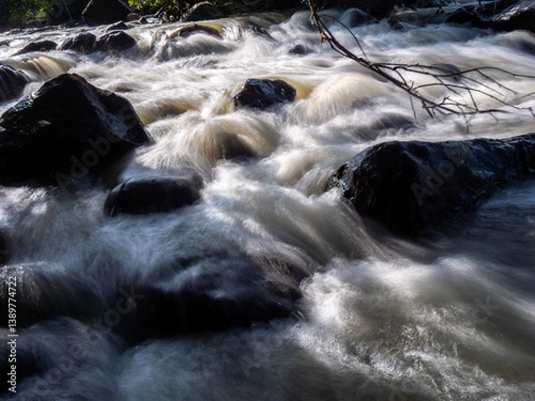 Fototapeta Rushing Stream: Rocks and Branch