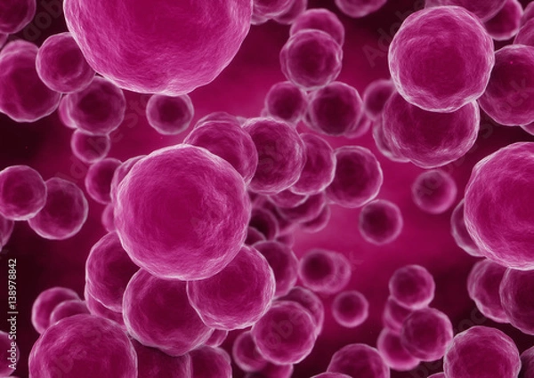 Fototapeta 3d rendering sphere bacteria cells closeup