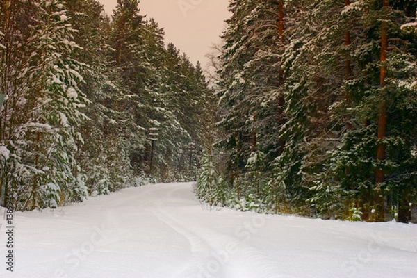 Fototapeta winter road