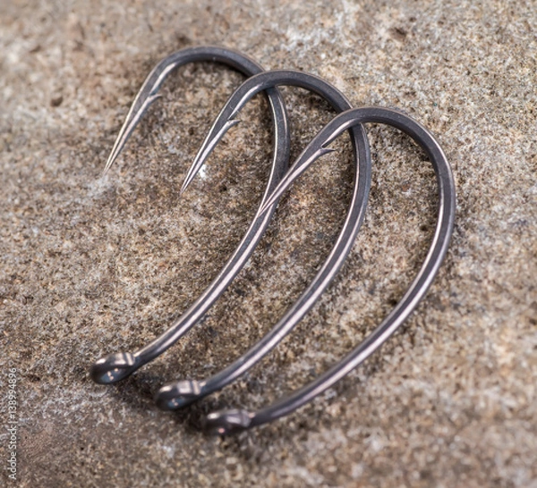 Obraz catch carp on baits