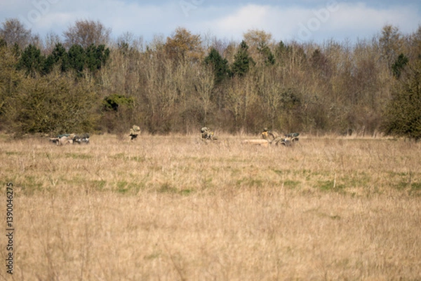 Fototapeta British army infantry soldiers moving moving across a meadow in early spring in sunshine