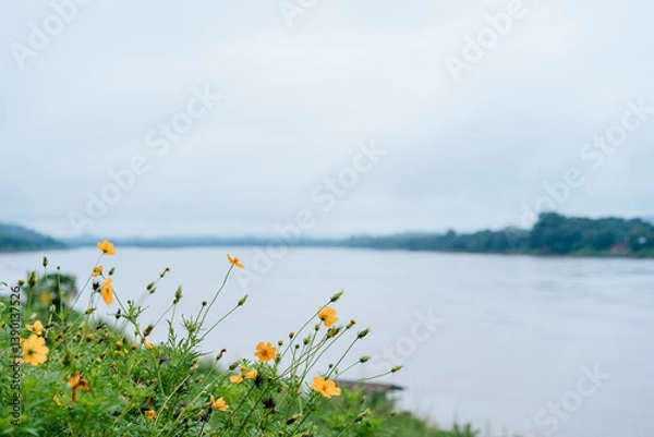 Fototapeta Scenic river view with wildflowers tranquil nature landscape overcast sky peaceful environment outdoor perspective