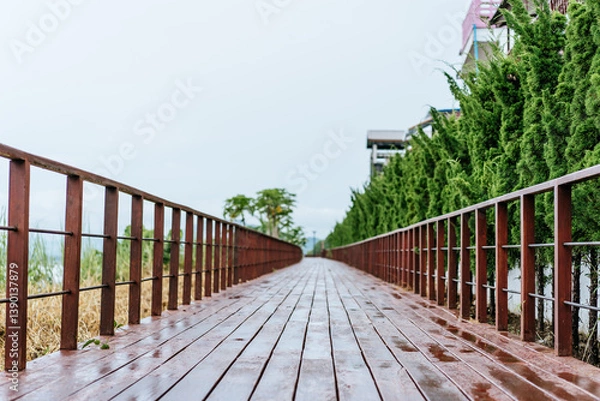 Fototapeta Rainy day stroll on scenic wooden pathway surrounded by lush greenery tranquil nature setting wide angle view