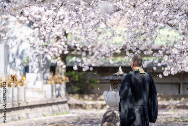 Obraz 僧侶と樹木葬のイメージ