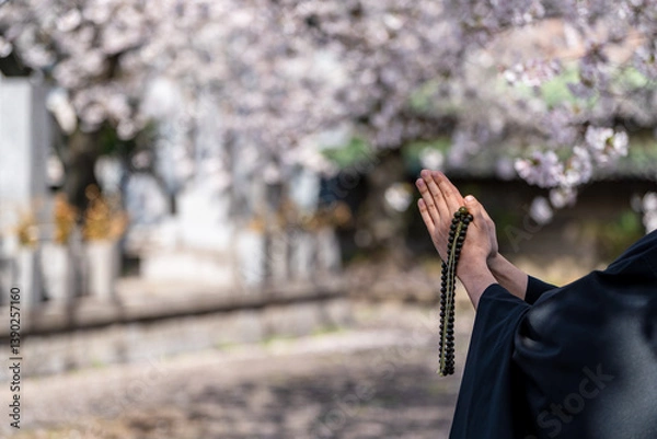 Obraz 僧侶と樹木葬のイメージ