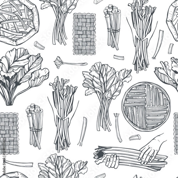 Fototapeta Hand-drawn rhubarb set. Vector seamless pattern.  