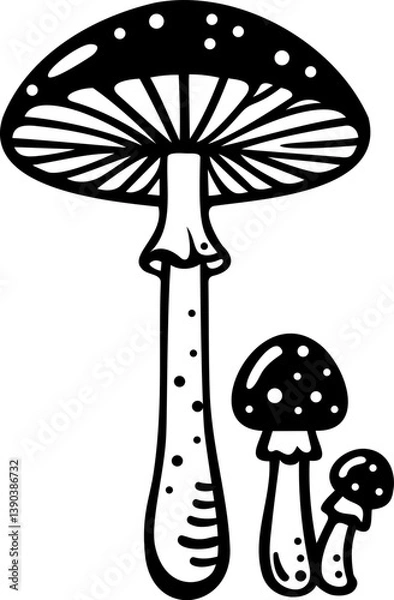 Obraz vector illustration of mushrooms