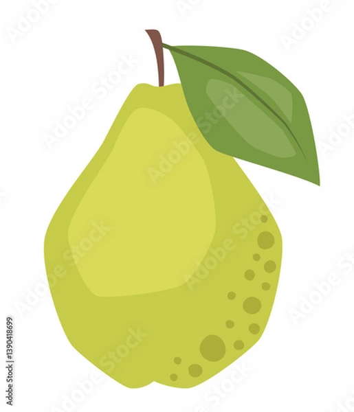 Fototapeta Vector isolated simple pear illustration