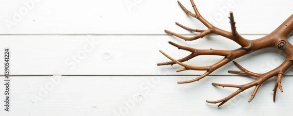 Fototapeta Wooden isolated tree branches on a wooden white background, white background, wooden objects