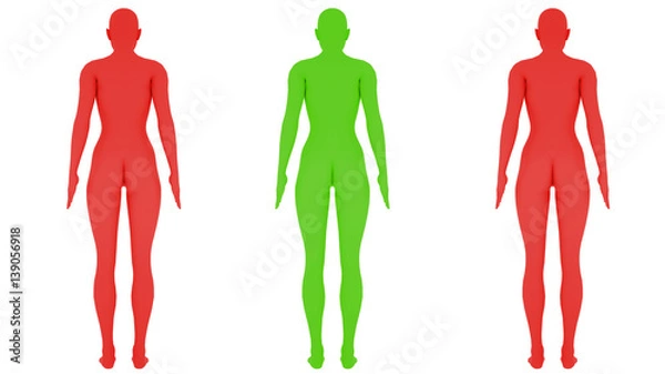 Fototapeta Different colored digital womans, isolated on white background, 3 d render