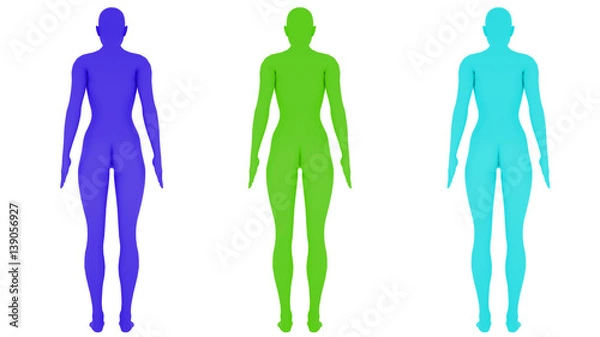 Fototapeta Different colored digital womans, isolated on white background, 3 d render