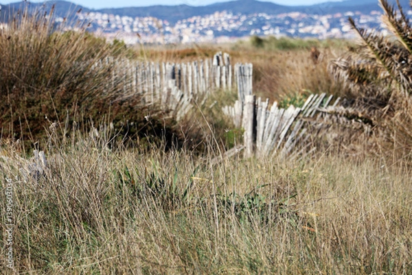 Obraz Paysage entre herbes folles et ganivelles