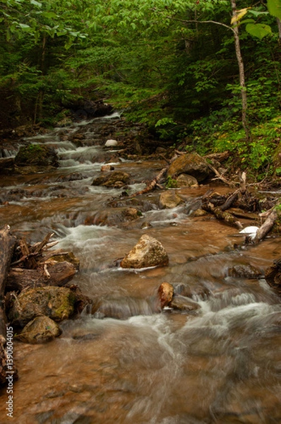 Fototapeta A tranquil forest stream flows gently between rocks and logs, surrounded by lush greenery. The scene embodies natural beauty, serenity, and peace, perfect for wilderness and outdoor relaxation.