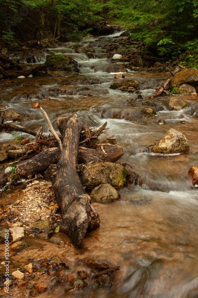 Fototapeta A tranquil forest stream flows gently between rocks and logs, surrounded by lush greenery. The scene embodies natural beauty, serenity, and peace, perfect for wilderness and outdoor relaxation.