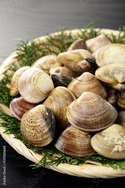 Fototapeta はまぐり