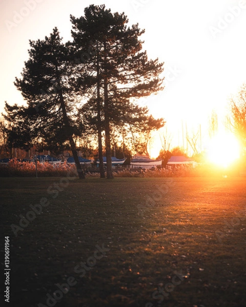 Fototapeta Summer Sunset at Lake Balaton with Trees and Marina in Warm Light
