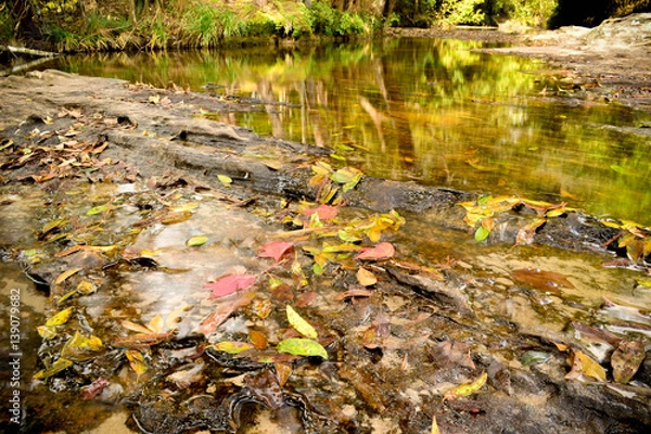 Obraz water fall in phu kradueng
