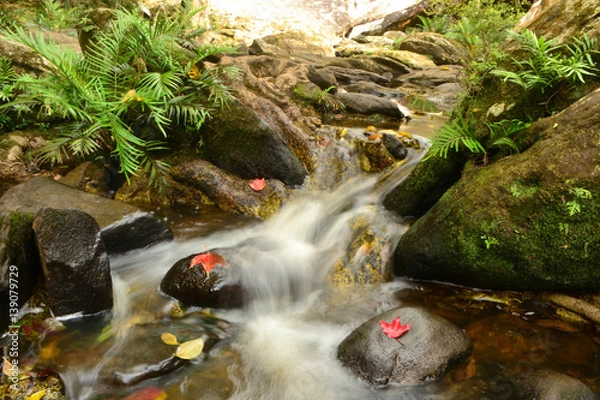 Obraz water fall in phu kradueng
