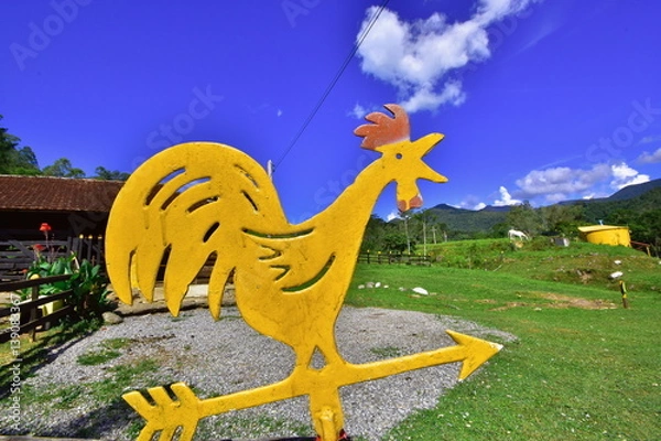Obraz The rooster and the direction