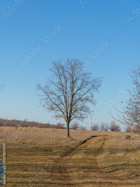 Fototapeta A vast open field displays a solitary tree standing tall against a clear blue sky. A dirt path winds through the dry grass, marking a serene winter landscape.