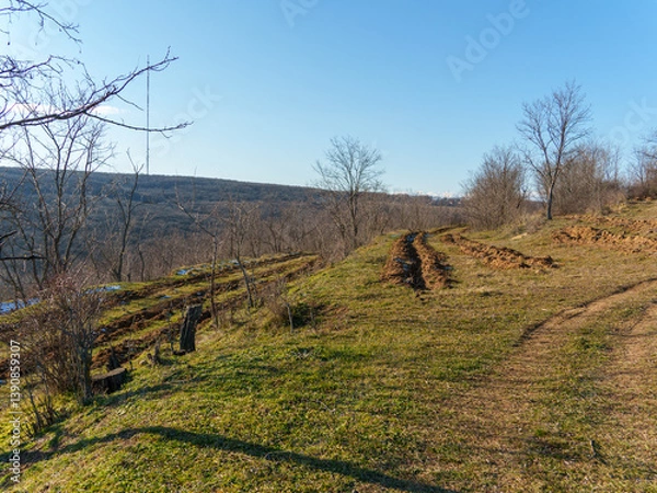 Fototapeta A serene rural landscape showcases a plowed field along a gentle hillside. Leafless trees dot the area, while a clear blue sky looms above. The scene conveys tranquility and nature's beauty.