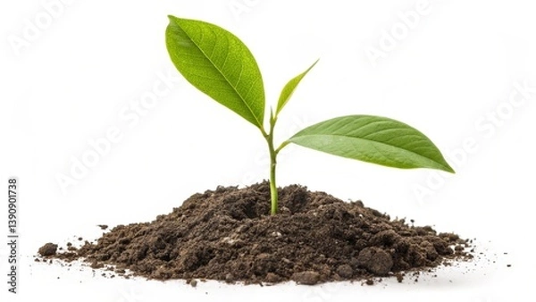 Fototapeta Green Sprout in Soil Pile with Sustainable Living Focus. Young plant in soil isolated