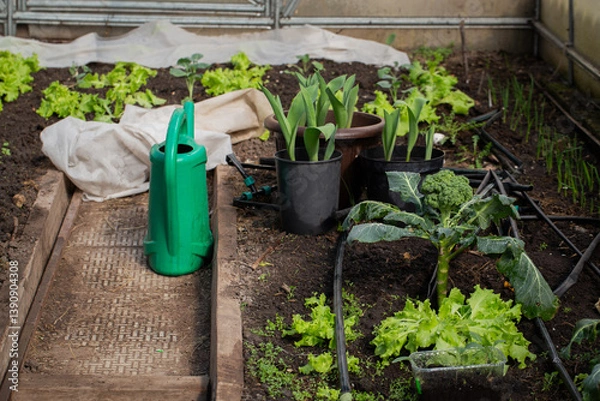 Obraz Watering can placed in the middle of a greenhouse.