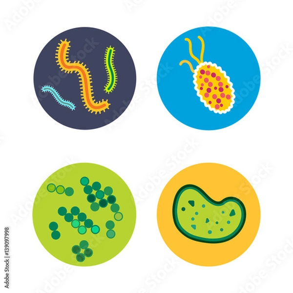 Fototapeta Bacteria virus microscopic isolated microbes icon human microbiology organism and medicine infection biology illness pathogen mold vector illustration.