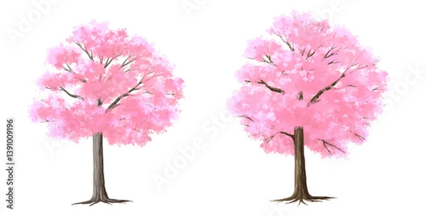 Fototapeta pink cherry tree, Vertor set of spring cherry blossom tree,blooming plants side view  for landscape elevation and section,eco environment concept design,watercolor shrub illustration,Sakura 