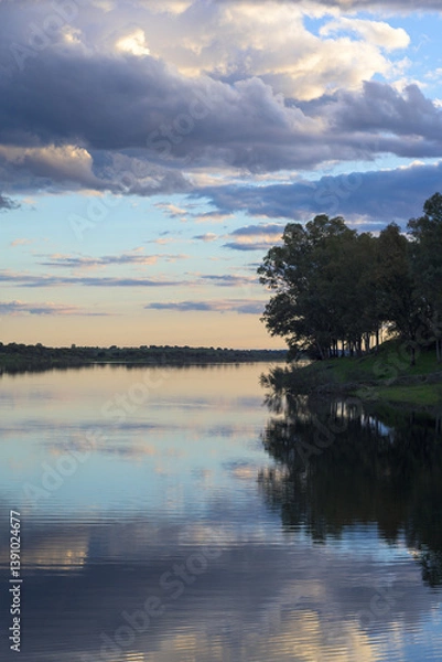 Fototapeta Reflections of trees blue sky, and clouds in water with vertical waves
