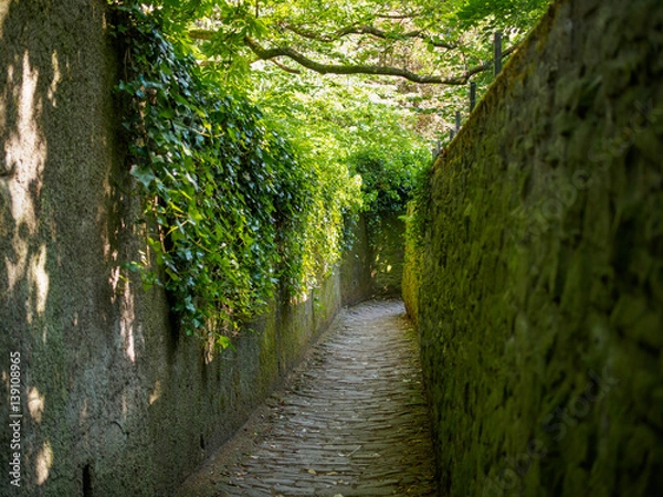Fototapeta View of the vine and moss-covered walls of the Schlangenweg, also known as the winding path, with nobody during daytime. Travel and architecture concept.
