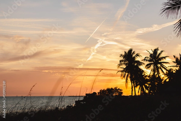 Fototapeta Beautiful colorful sunset at the beach. Summer vacation in Florida. Key West, Florida, US. Palm trees are close up on sunset at the beach. 