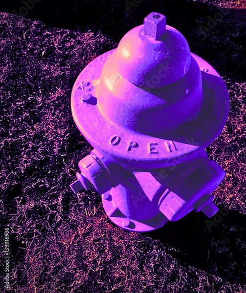 Obraz Colorful Fire Hydrant 