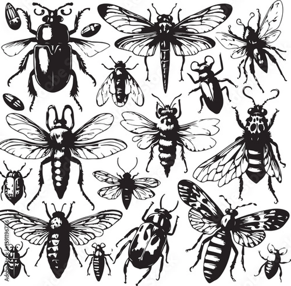 Fototapeta Insect and Beetle Vector Illustration