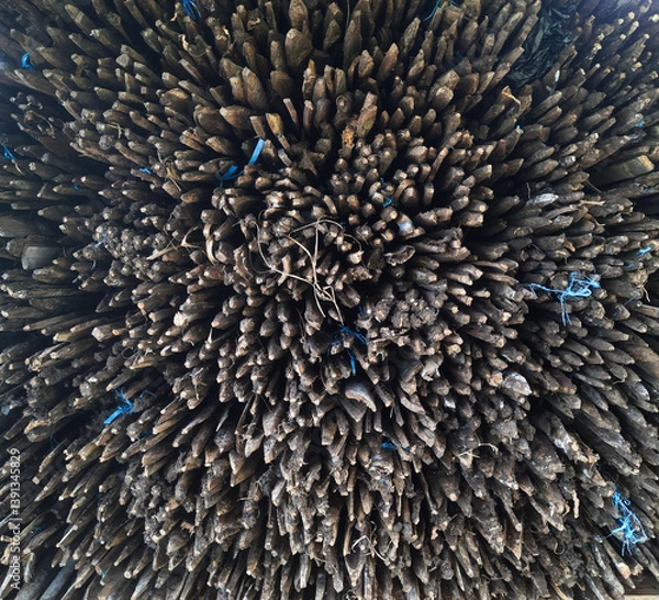 Fototapeta Artistic composition of pointed wooden stacked closely. Natural texture and organic form highlighted