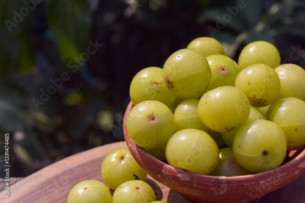 Obraz Fresh Indian Gooseberries or Amla in a clay bowl.
