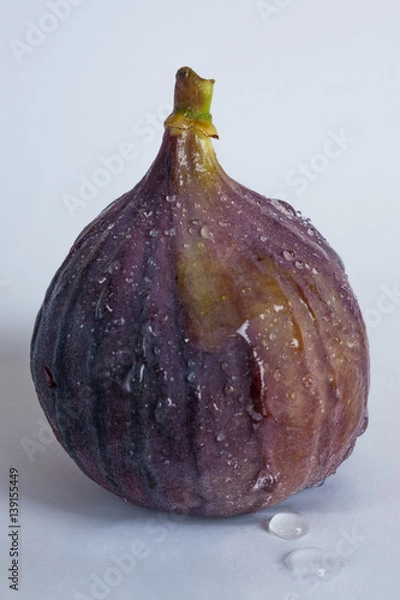 Obraz Fig on white background
