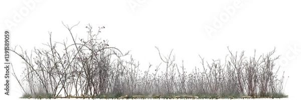 Fototapeta Various types of wild flowers, dried tree and dried grass field in nature, Tropical forest isolated on transparent background - PNG file, 3D rendering for create and design