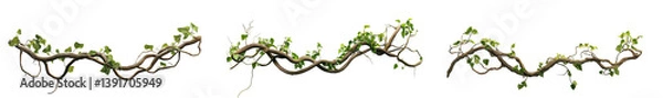 Obraz jungle vines set, isolated on transparent background