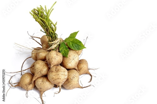 Fototapeta  heap of Jicama isolated on white background.