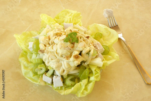 Obraz Coronation Chicken